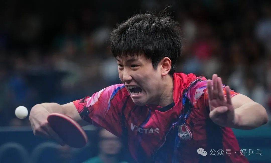 奥地利乒乓球队力克英国乒乓球队,张本智和送出助攻的简单介绍 奥地利乒乓球队力克英国乒乓球队,张本智和送出助攻的简单介绍