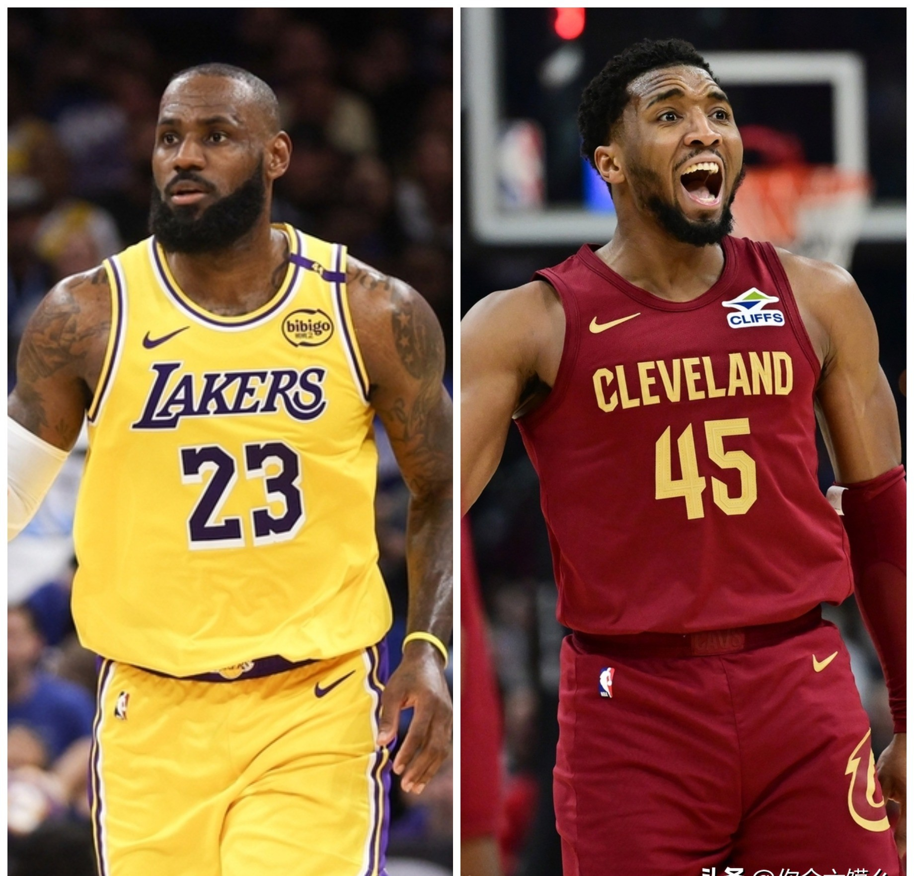 关于猛龙碾压尼日利亚男篮，詹姆斯送出助攻的信息