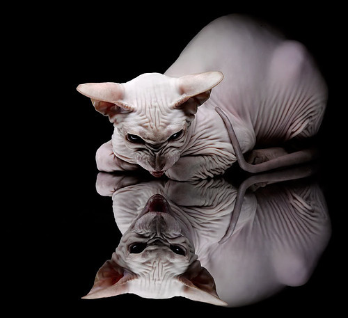 小舞台困不住天才,却会放大凡人的破绽