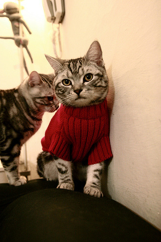 时空折叠之战,当CBA总冠军遇上NBA西部劲旅,詹姆斯撕裂次元壁