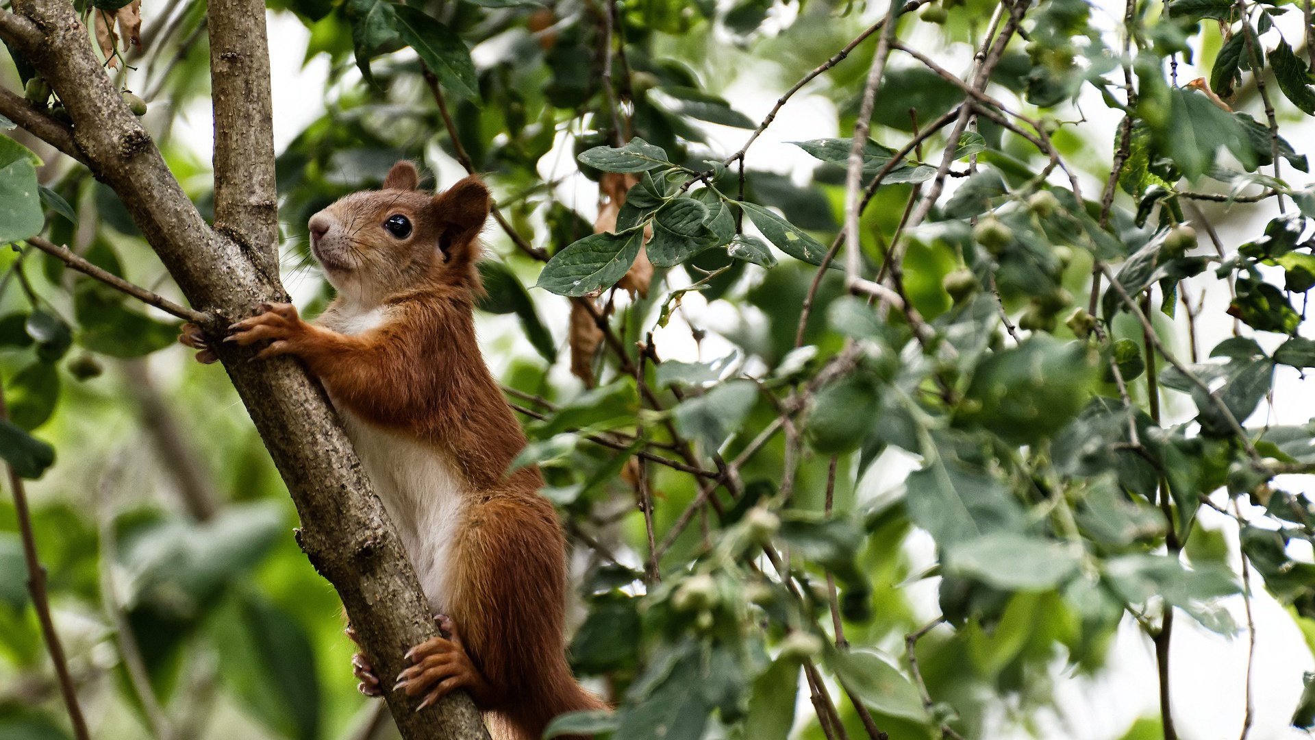 封神的夜晚，当绝境被一人接管