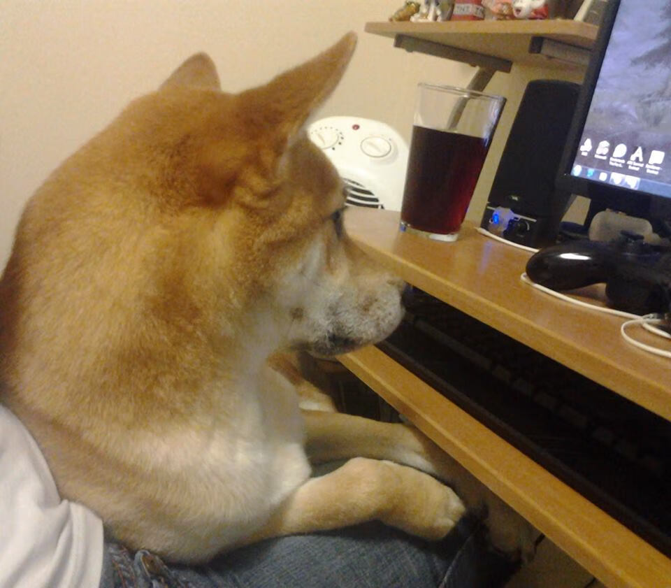 无声处听惊雷,当黄喜灿在嘘声与寂静中完成射门