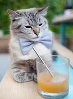 哈利伯顿的觉醒时刻,当哈利-波特的魔法在马刺奏响胜利咒语