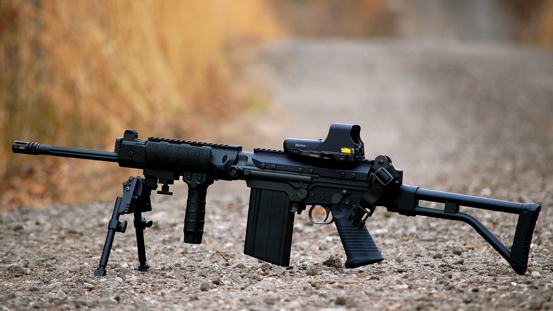 跨场焦点，当森林狼轻取骑士之夜，真正的风暴在另一片球场上演