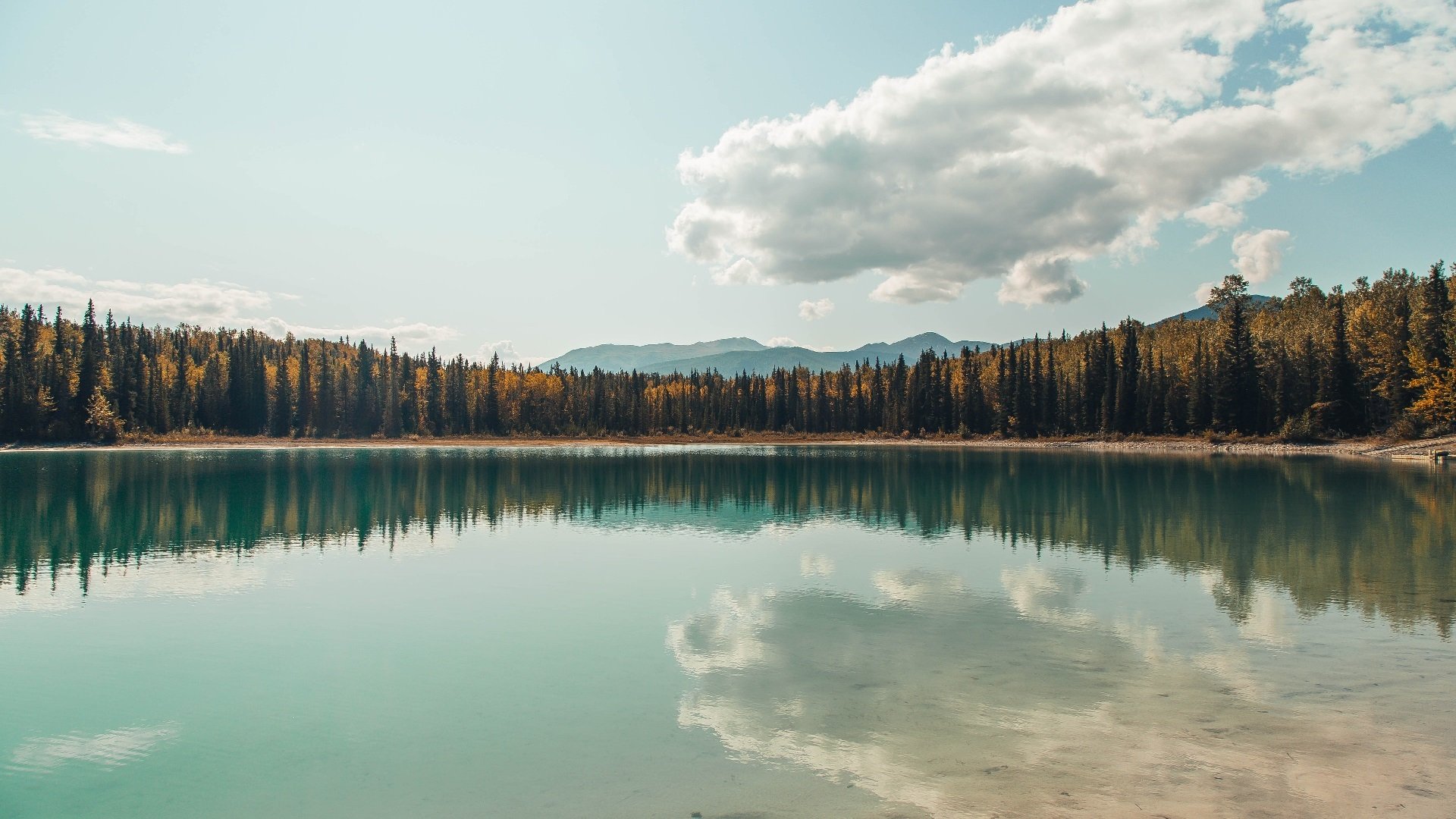 星辰陨落，新王当立，爱德华兹终结勇士时代，快船登顶西岸之巅