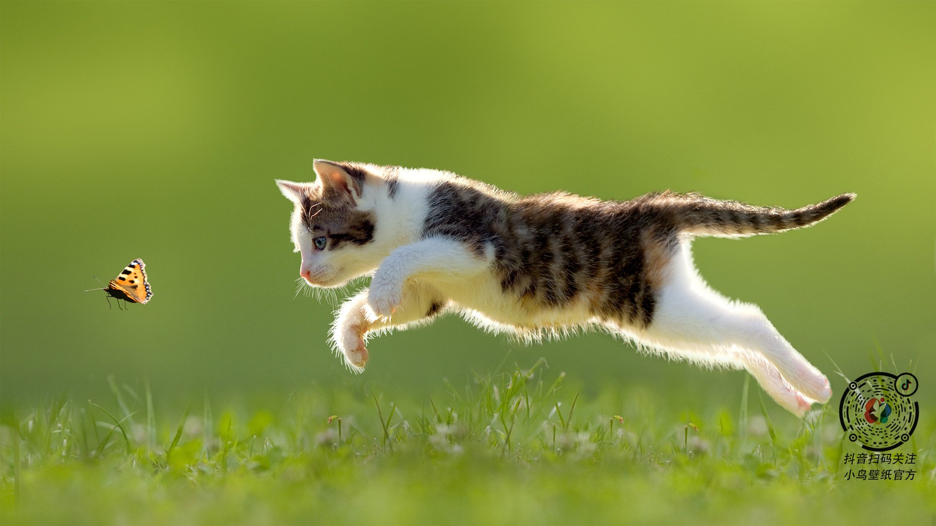 终场哨前的冰火之歌，拉什福德点燃挪威逆袭烈焰，葡萄牙黄金一代悲情谢幕