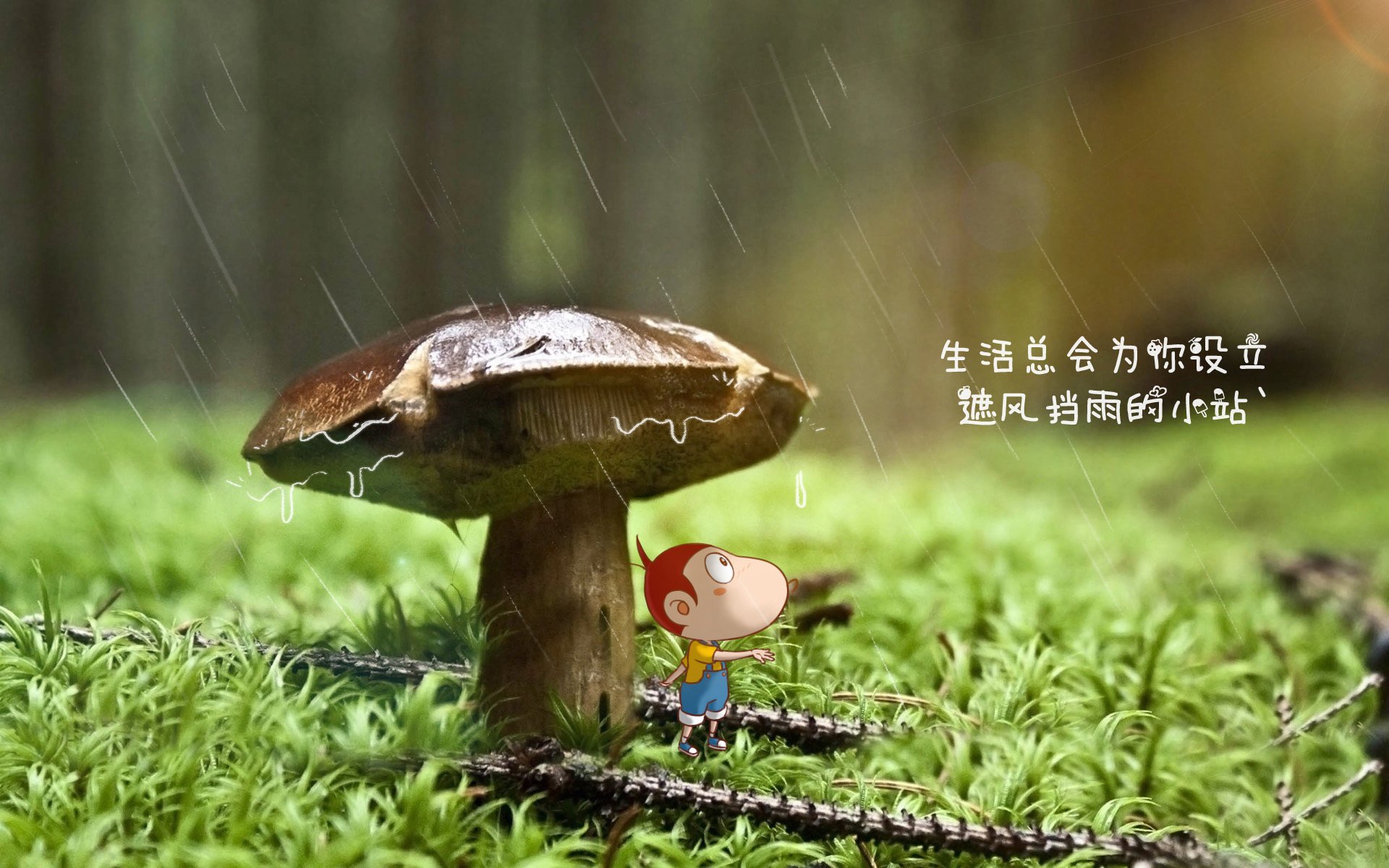 致命默契，2026世界杯B组，齐耶赫一剑封喉，厄瓜多尔力克伊朗的瞬间永恒