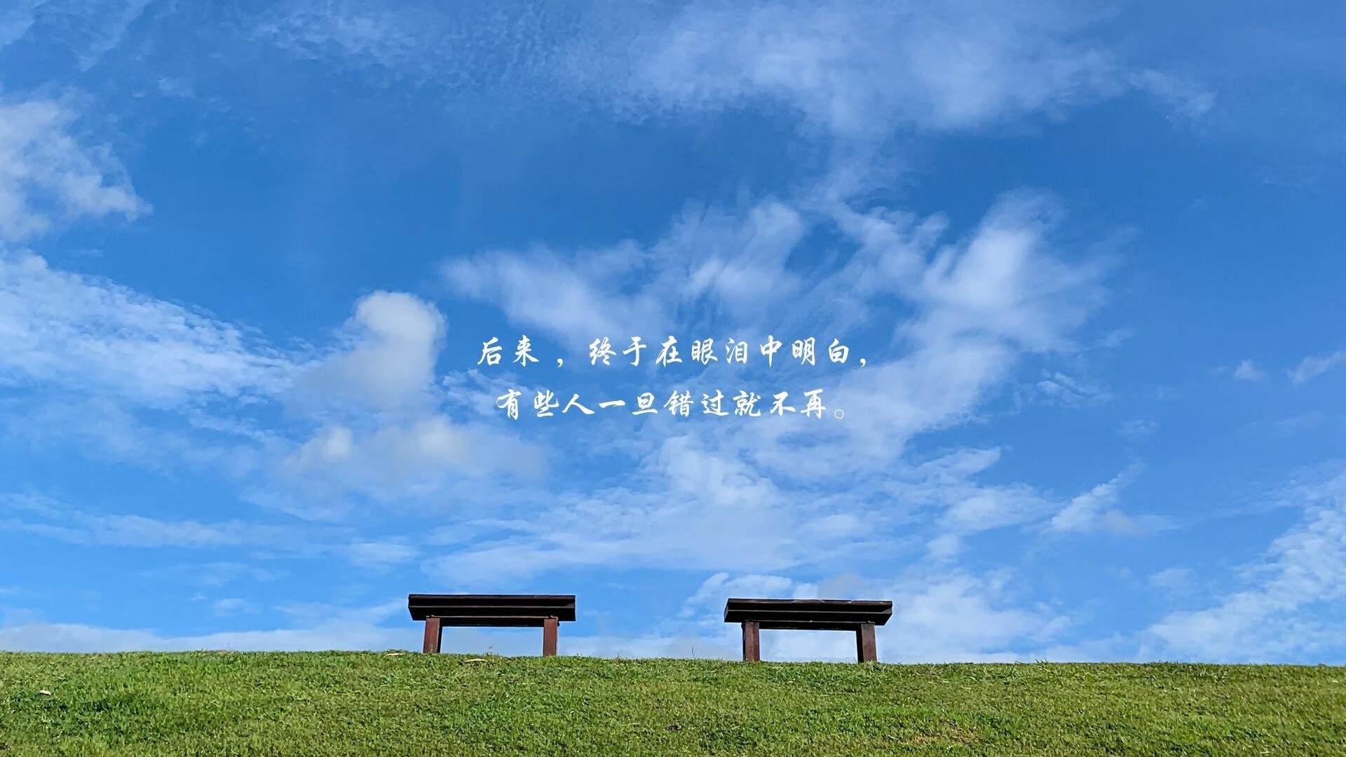 战车重铸日耳曼之魂,魔笛喑哑布达佩斯,2026世界杯C组,一场德国式的精准暴力美学