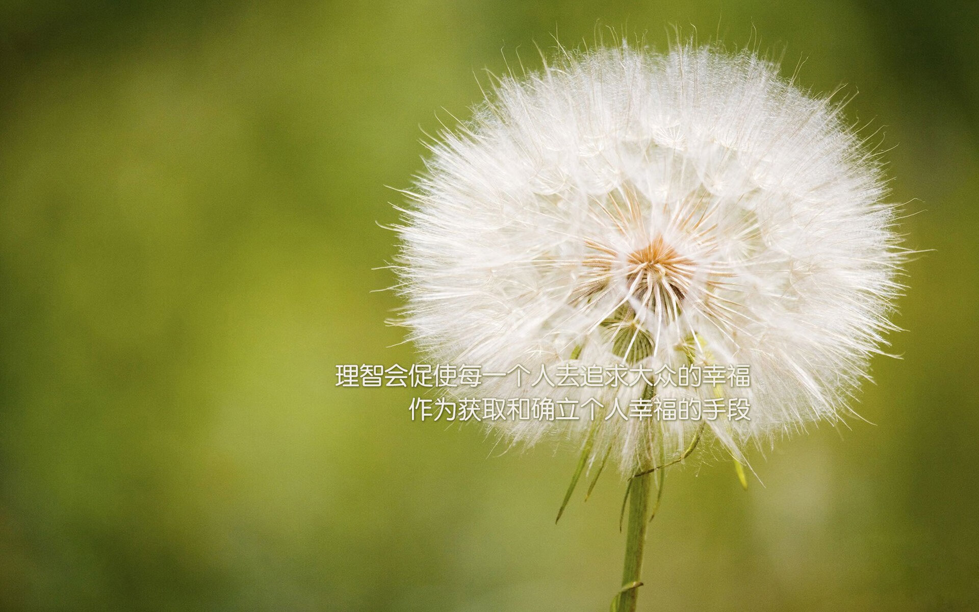唯一的光,阿诺德的一脚,照亮了C组最锋利的那道缝隙